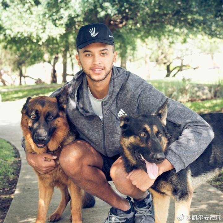 1xbet体育馆-尼斯球员爆发引发关注备受期待的简单介绍