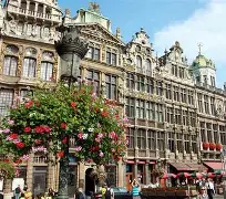 1xbet体育官方-比利时队长哈扎尔受伤退出欧洲杯